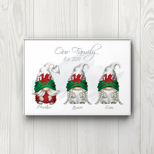 Gonk personalised Welsh Flag  A4 Print UNFRAMED
