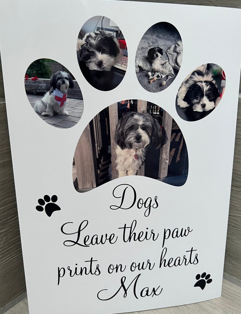 A4 print 'dogs leave their paw prints on our hearts’ UNFRAMED